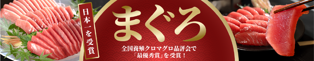 大月町のマグロ