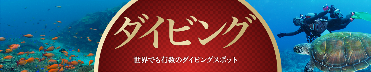大月町のダイビング