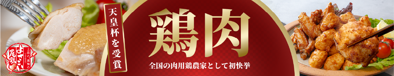 大月町のよさこい尾鶏